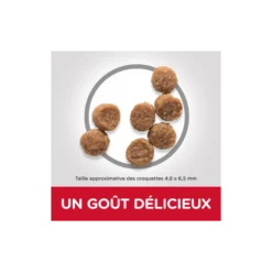 Science Plan Aliment Pour Chiot Small & Mini Au Poulet 3kg - Hill's -Promos Naturalis Pets Boutique science plan aliment pour chiot small mini au poulet 3kg hills 604345 hills hills science plan aliment pour chiot small mini au 1 1