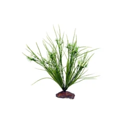 Serengeti Fleur +/-30cm