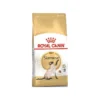 Siamese Adult 4kg - Royal Canin 2 Siamese Adult 4kg - Royal Canin -Promos Naturalis Pets Boutique siamese adult 4kg royal canin 1250838 royal canin aliment complet et equilibre pour chats special chats adultes siamois a partir
