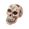 Skull S-11cm - Aqua Della -Promos Naturalis Pets Boutique skull s 11cm aqua della 236 104293 aqua della specifications fabrique en resine de polyester de qualite non toxique et ph neutre