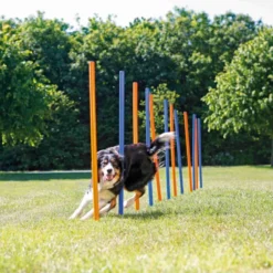 Slalom Agility 3x115cm - Trixie -Promos Naturalis Pets Boutique slalom agility 3x115cm trixie 3206 trixie slalom agility multiples options de construction compose de 12 barres corde reglable a 2