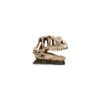 Socle Dinosaure 1 Résine 19x9x14cm - Giganterra -Promos Naturalis Pets Boutique socle dinosaure 1 resine 19x9x14cm giganterra g04 00334 giganterra socle dinosaure 1 resine 19x9x14cm giganterra
