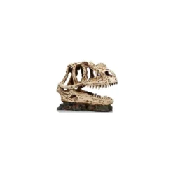 Socle Dinosaure 1 Résine 19x9x14cm - Giganterra