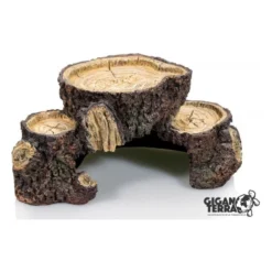 Souches Plate-forme M 21x12x9cm - Giganterra