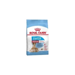 Starter Mother & Babydog Medium 4kg - Royal Canin