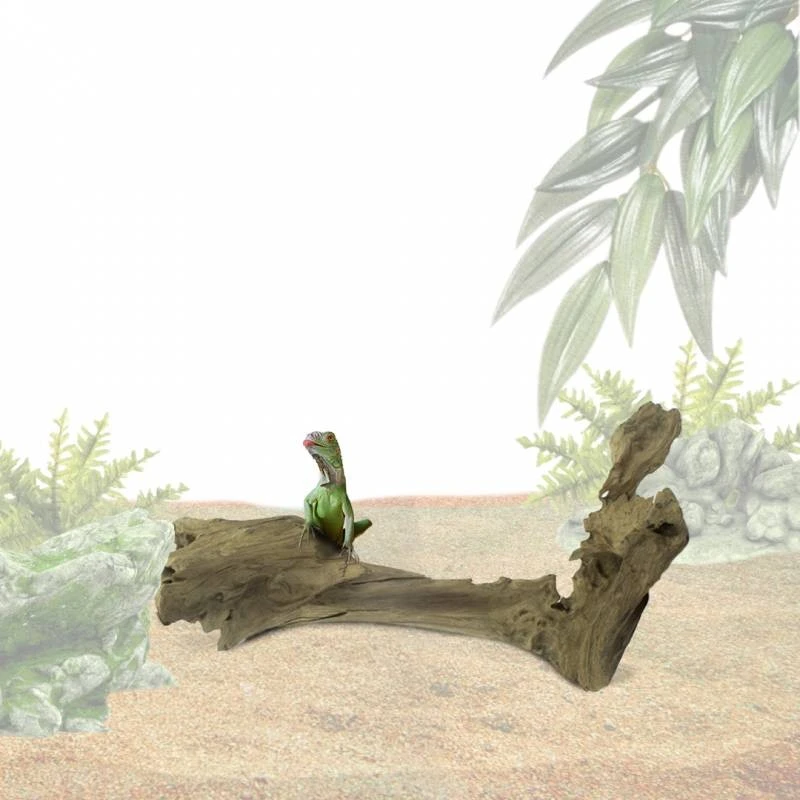 Teck Carotte M/30-40cm - Back Zoo Nature 4 Teck Carotte M/30-40cm - Back Zoo Nature – Image 2