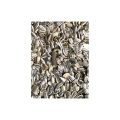 Tournesol Strié Large Marica/Toma 12,5kg - Grizo