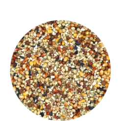 Traditional - Super Power Elevage - Mélange D'élevage De Haute Qualité, Avec Du Maïs Rouge Et Jaune 25kg -Promos Naturalis Pets Boutique traditional super power elevage melange delevage de haute qualite avec du mais rouge et jaune 25kg 411333 versele laga melange d 1