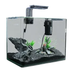 Urbyss R2 35x22x28cm - Aqua Della -Promos Naturalis Pets Boutique urbyss r2 35x22x28cm aqua della 202 459195 aqua della specifications aquarium rectangulaire avec verre courbe et poli de 5 mm ve 1