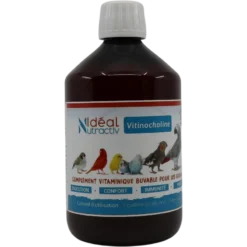 Vitinocholine Liquide 500ml - Idéal Nutricare